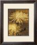 Golden Mums Ii by Keith Mallett Limited Edition Print