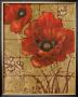 Poppies On Gold Ii by Vivian Flasch Limited Edition Print