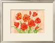 Linen Scroll Tulip by Paul Brent Limited Edition Pricing Art Print