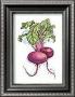 Beets by Paul Brent Limited Edition Print