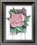 Rose by Paul Brent Limited Edition Pricing Art Print