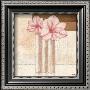 Amaryllis In Love by Karsten Kirchner Limited Edition Pricing Art Print
