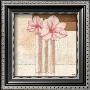 Amaryllis In Love by Karsten Kirchner Limited Edition Print