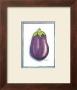 Eggplant by Paul Brent Limited Edition Print