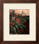 Garden Wall Ii by Rhonda Mcenroe Limited Edition Print