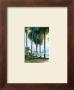 Summer Breeze by Joe Sambataro Limited Edition Print