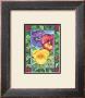 Pansies by Paul Brent Limited Edition Print