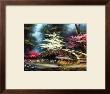 Dogwood And Waterlilies by Egidio Antonaccio Limited Edition Print