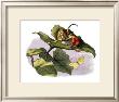 Courtship by Richard Doyle Limited Edition Print