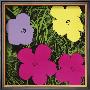 Flowers, C.1970 (1 Purple, C.1 Yellow, 2 Pink) by Andy Warhol Limited Edition Print