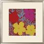 Flowers, C.1970 (Red, Pink, Yellow) by Andy Warhol Limited Edition Pricing Art Print