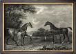 King Herod And Flying Childers by John Scott Limited Edition Print