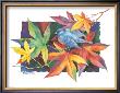 Autumn Bluebird by Paul Brent Limited Edition Print