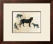 Black Leopard by Judy Gibson Limited Edition Print