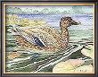 Wetland Mallard  Female by Paul Brent Limited Edition Print