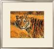 Savannah Alert by Spencer Hodge Limited Edition Pricing Art Print