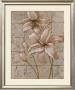 Lilies On Silver Ii by Vivian Flasch Limited Edition Print