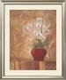 Orchid Obsession Ii by Vivian Flasch Limited Edition Print