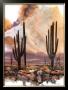 Sonoran Sentinels by Adin Shade Limited Edition Pricing Art Print