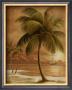 Island Palm I by Ron Jenkins Limited Edition Print