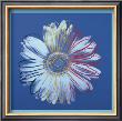 Daisy, C.1982  (Blue On Blue) by Andy Warhol Limited Edition Print