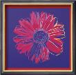 Daisy, C.1982  (Blue And Red) by Andy Warhol Limited Edition Pricing Art Print