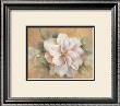 Camellia On Honey I by Vivian Flasch Limited Edition Pricing Art Print