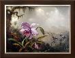 Hummingbirds And Orchids by Martin Johnson Heade Limited Edition Pricing Art Print