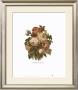 Roses Of May by Currier & Ives Limited Edition Pricing Art Print