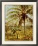 Palm Tree, Nassau 1892 by Albert Bierstadt Limited Edition Pricing Art Print