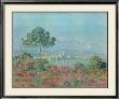 Stone Pines by Claude Monet Limited Edition Print