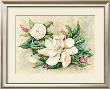 Timeless by Deb Collins Limited Edition Print