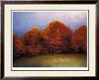 Scarlet Hillside by Robert Striffolino Limited Edition Print