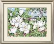 Magnolia Gazebos by Paul Brent Limited Edition Pricing Art Print