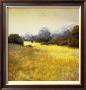 Autumn Grasses by Robert Striffolino Limited Edition Print