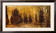 Forest Silhouettes I by Linda Thompson Limited Edition Print