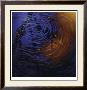 Ripple Play by Robert Striffolino Limited Edition Print