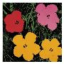 Flowers, C.1964 (Red, Pink, Yellow) by Andy Warhol Limited Edition Pricing Art Print