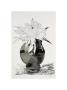 Flowers, C.1974 (White Flower In Black Vase) Limited Edition Pricing