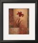 Lily Silhouette by Vivian Flasch Limited Edition Pricing Art Print