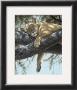 Lake Manyara Lioness by Guy Coheleach Limited Edition Print