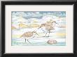 Shell Island Sandpipers by Paul Brent Limited Edition Print