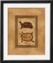 Box Turtle Ii by Debra Swartzendruber Limited Edition Print