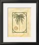 Royal Palm by David Nichols Limited Edition Pricing Art Print