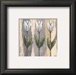 Spring Feeling In White by Karsten Kirchner Limited Edition Print