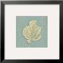 Sea Fan by Lisa Danielle Limited Edition Print