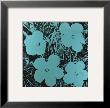 Flowers (Blue), C.1967 by Andy Warhol Limited Edition Print