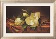 Magnolia On Gold Velvet Cloth by Martin Johnson Heade Limited Edition Pricing Art Print