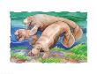 Manatee Family by Paul Brent Limited Edition Print