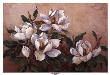 Magnolia Inspiration by Barbara Mock Limited Edition Print